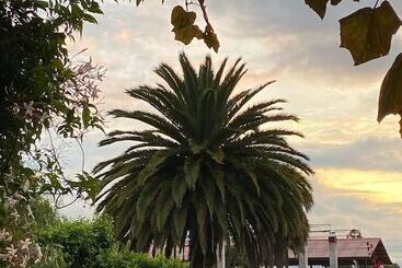 فندق Casa Del Viajero