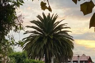 Hotel Casa Del Viajero