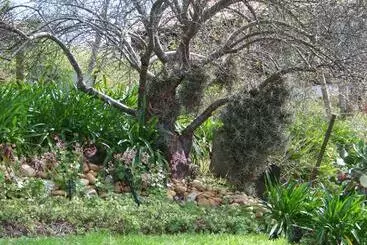 Majatalo Lemontree Cottage