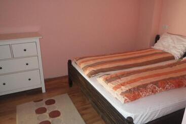 Pensiunea La Rachitele