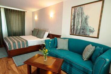 Pensiunea Muntele Verde