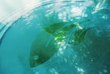 Hotel El Sitio De Playa Venao