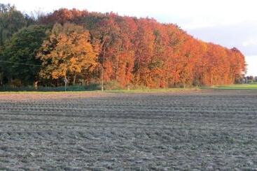 酒店 Haus Nachtigall   B&b