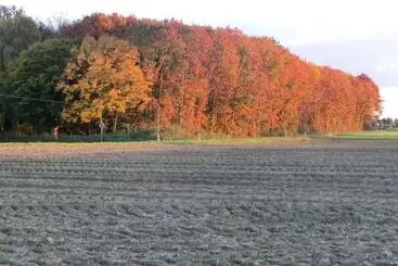 Hotelli Haus Nachtigall   B&b