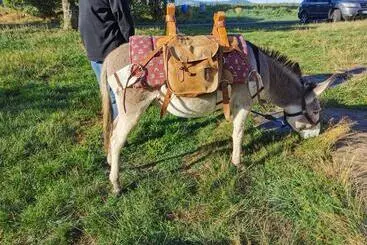 Aamiaismajoitus (B&B) La Rose Des Vents