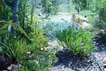 Mooniemia Farmhouse Bed And Breakfast