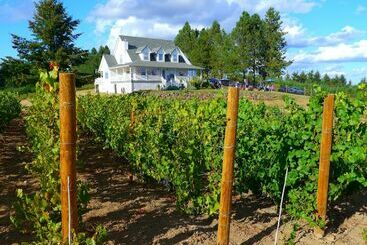 Bluebird Hill Farm B&b