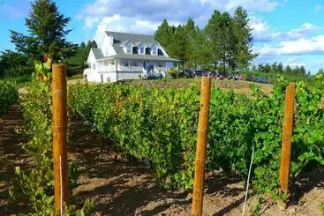 Bluebird Hill Farm B&b