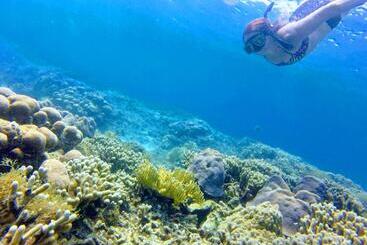 پانسیون El Hamaquero Hostal Econativo