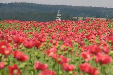 Mohnhotel   Bergwirt Schrammel