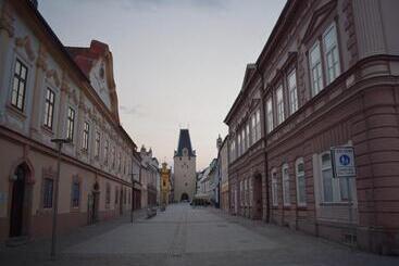 膳宿费 Penzion U Johanky