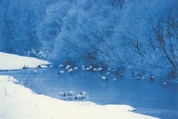 Otel Green Park Tsurui