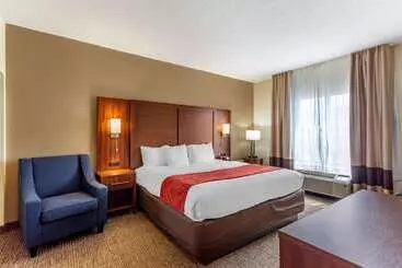 בית מלון כפרי Comfort Suites Southaven I55