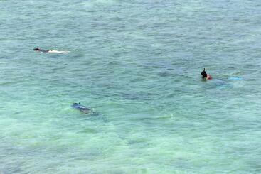 Pension Villa Polhena