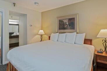 Chase Suite Hotel Rocky Point Tampa