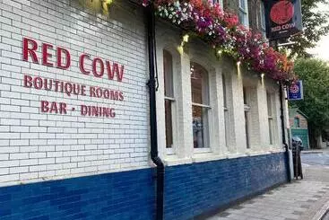 酒店 The Red Cow   Guest House
