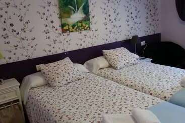 بنسيون Alojamientos Olga