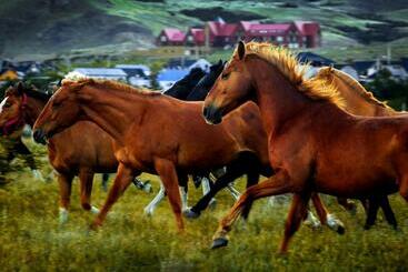 בית מלון כפרי Los Cerros Del Chalten Boutique