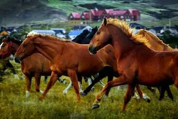 ホテル Los Cerros Del Chalten Boutique