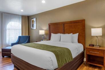 ホテル Comfort Inn Bishop