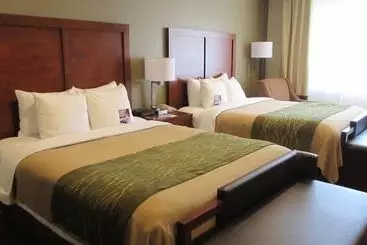 ホテル Comfort Inn Bishop