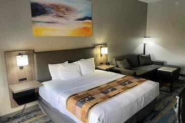 فندق La Quinta By Wyndham Tampa Central