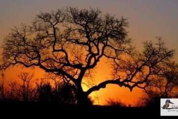 پانسیون Hippomoon Lodge Game Reserve