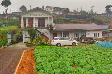 ペンション Rc Awkward