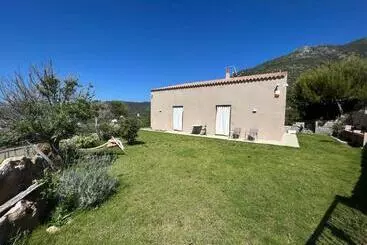 ベッドアンドブレックファースト Alelca Domo