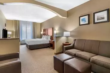 فندق Comfort Inn & Suites St. Louiso Fallon