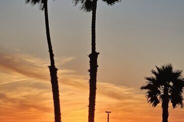 ホテル Huntington Surf Inn