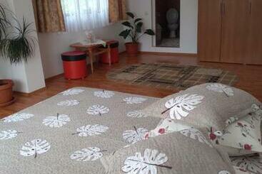 פנסיון Vila Bogdan