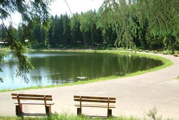 Park Hotel Tsarsky Les