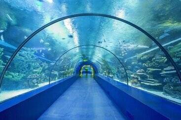 Aparthotel Letstay Sweet Home Yellow