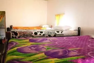Pensão Hostal Casa Del Loro   Hostel