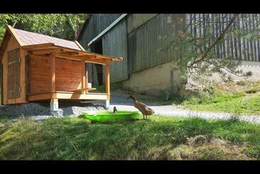 Hotel Reiterhof Finkenmuehle Fewo Boris