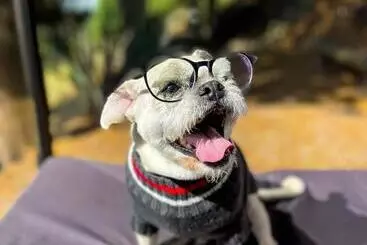 Hôtel Cabañas De Lujo   Casa Barcelona