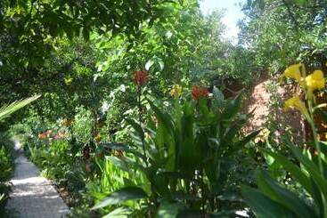 پانسیون Olympos Mercan Bungalow