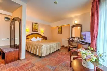 Hotel Ambient