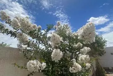 Hotelli Queiroz Palace