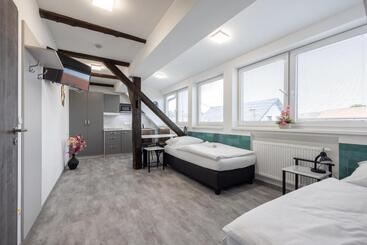 Panzió Penzion Rozhovice