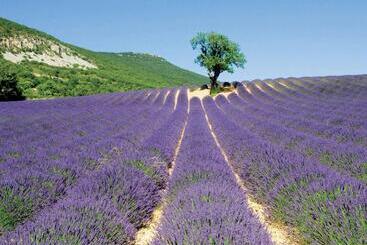 منتجع Village Club Les Lavandes   Neaclub