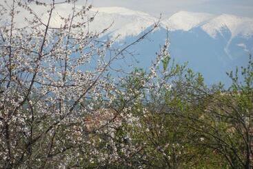 ペンション Vila Bel Ami