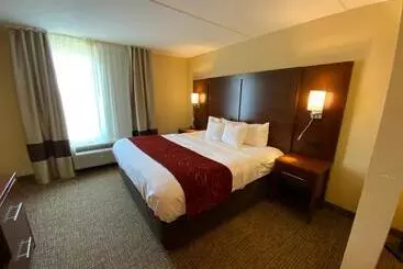 ホテル Comfort Suites Fredericksburg North
