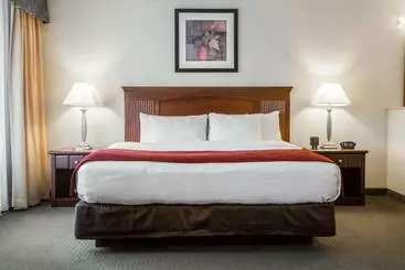 ホテル Comfort Suites South Burlington Near University