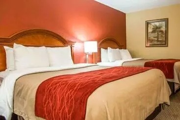 Отель Comfort Inn & Suites Panama City   St Andrew