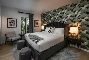 The Colony Palms Hotel And Bungalows   Adults Only