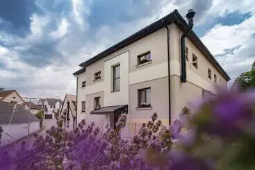 Huoneistohotelli Smrž