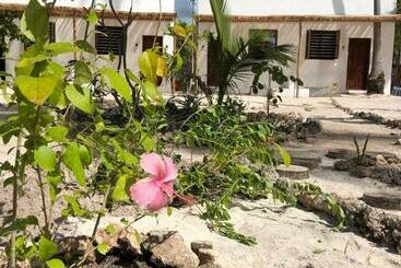 هاستل Liquid Life By Buccaneer