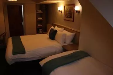 Otel The Globe And Crown